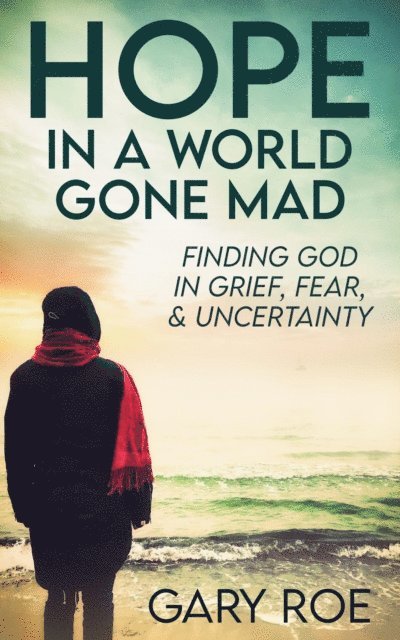 Gary Roe - Hope in a World Gone Mad, E-bok