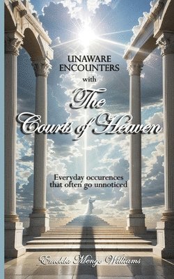 Emelda Menge Williams - Unaware Encounters with the Courts of Heaven, Häftad