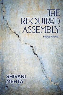 Shivani Mehta - Required Assembly, Häftad