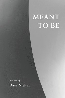 Dave Nielsen - Meant to Be, Häftad