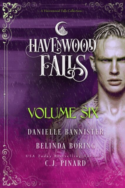 Danielle Bannister, C.J. Pinard, Belinda Boring - Havenwood Falls Volume Six, E-bok