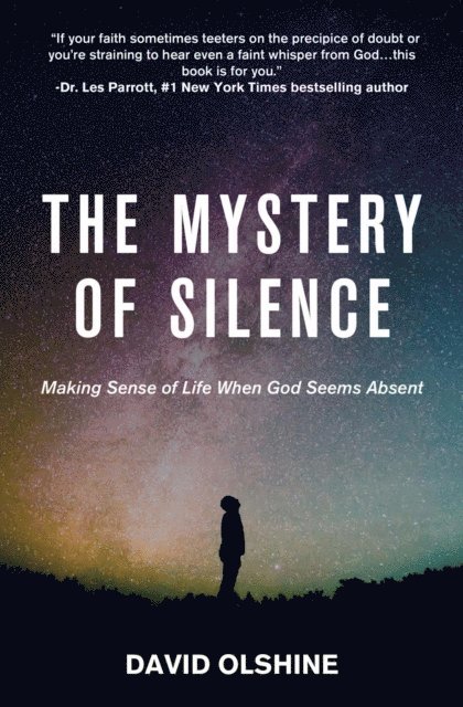 David Olshine - Mystery of Silence, E-bok