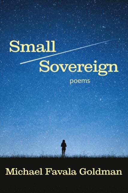 Michael Goldman - Small Sovereign, E-bok
