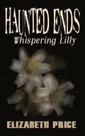 Haunted Ends