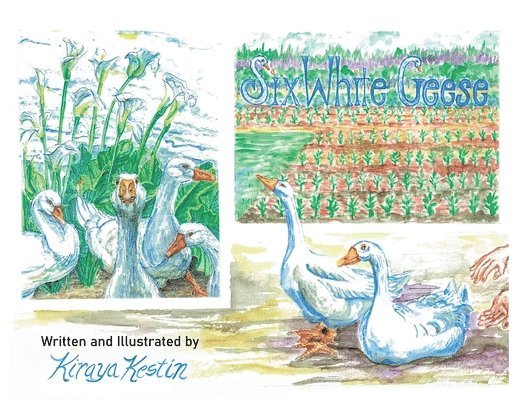 Kiraya Kestin - Six White Geese, Häftad