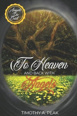 Timothy Peak - To Heaven and Back With Angels, Häftad