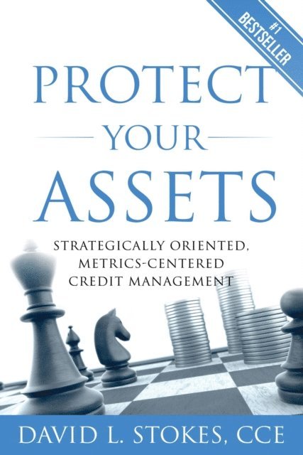 David Stokes - Protect Your Assets: Strategically Oriented, Metrics-Centered Credit Management, E-bok