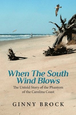 Ginny Brock - When The South Wind Blows, Häftad