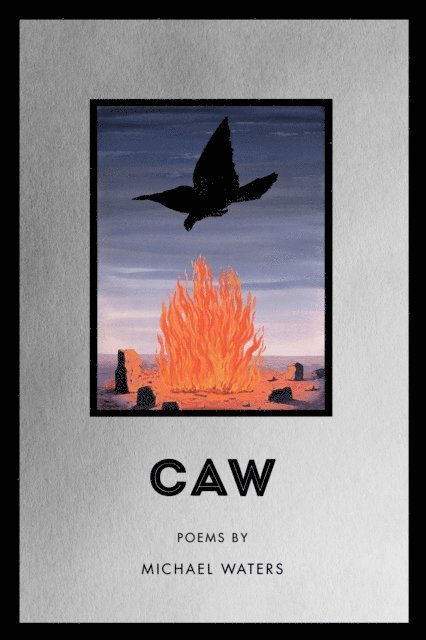 Michael Waters - Caw, E-bok