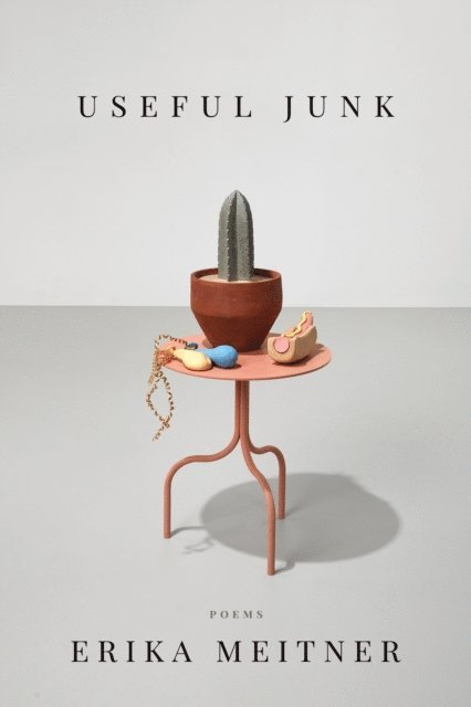 Erika Meitner - Useful Junk, E-bok