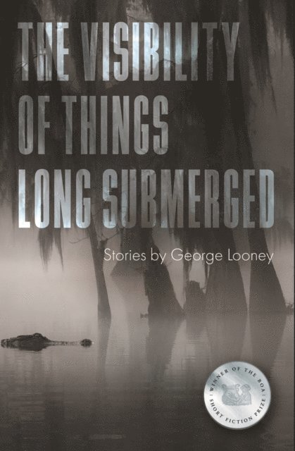 George Looney - Visibility of Things Long Submerged, E-bok