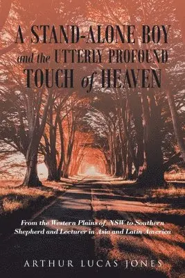Arthur Lucas Jones - Stand-Alone Boy and the Utterly Profound Touch of Heaven, Häftad. Tillgänglighet: Lägg i varukorg