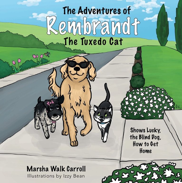 Marsha Walk Carroll - Adventures of Rembrandt the Tuxedo Cat, Häftad