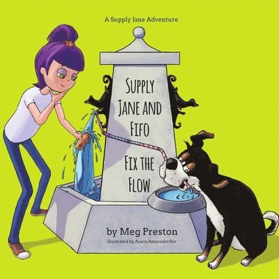 Megan Preston Meyer - Supply Jane & Fifo Fix the Flow, Häftad