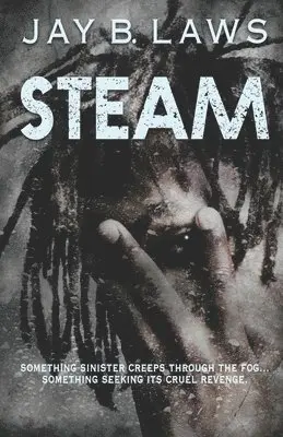 Jay B Laws - Steam, Häftad. Tillgänglighet: Lägg i varukorg