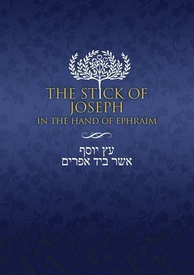 Stick of Joseph in the Hand of Ephraim, Häftad