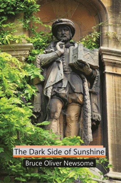 Bruce Oliver Newsome - Dark Side of Sunshine, E-bok