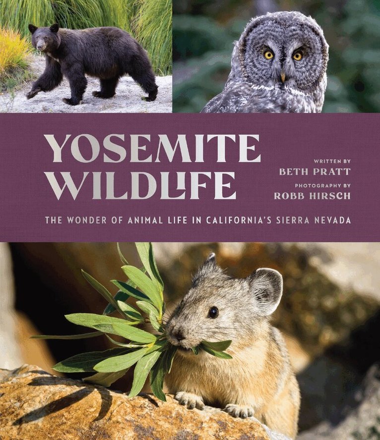 Beth Pratt - Yosemite Wildlife, Inbunden