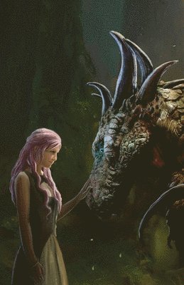 Furry Godmother to the Rescue - Write Your Own Destiny, Häftad