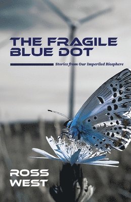 Ross West - Fragile Blue Dot, Häftad