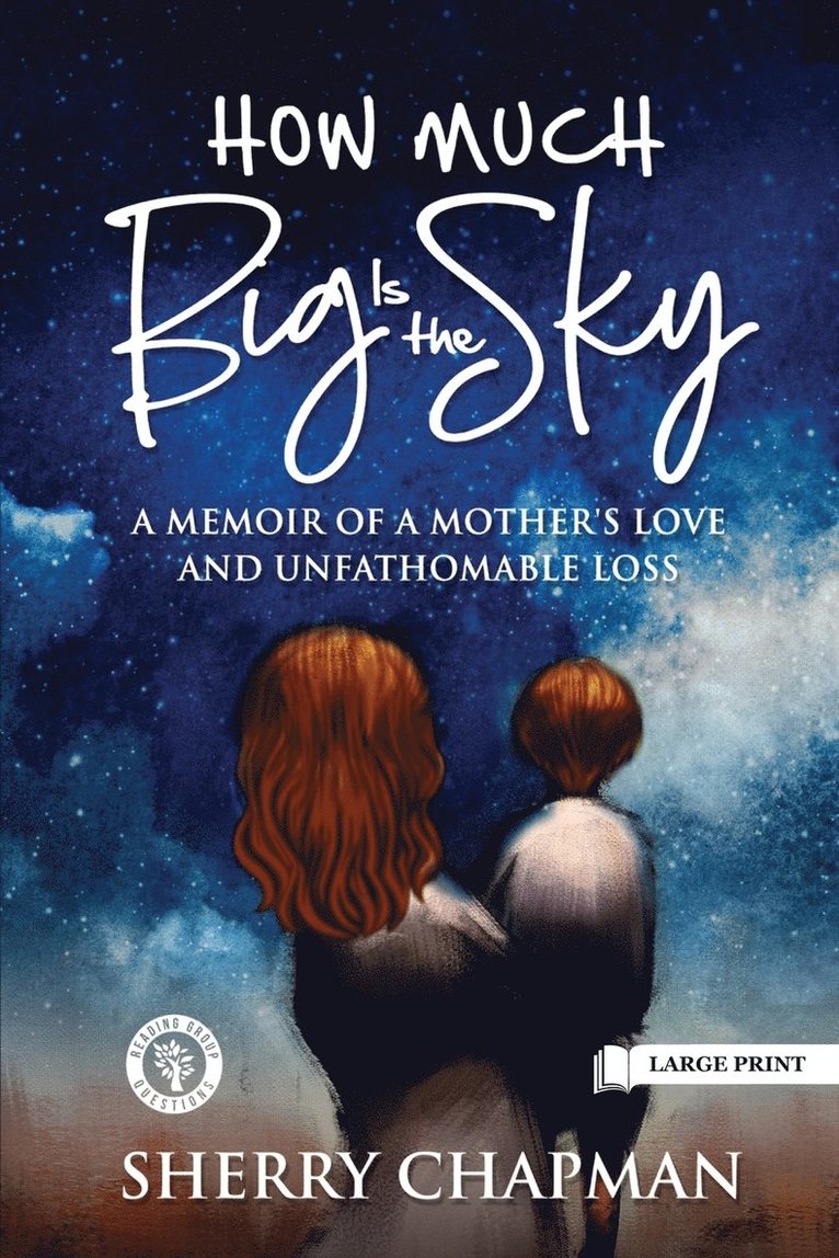 Sherry Chapman - How Much Big Is the Sky, Häftad