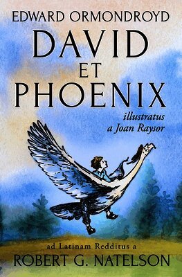 David et Phoenix: (Latin Edition), Häftad