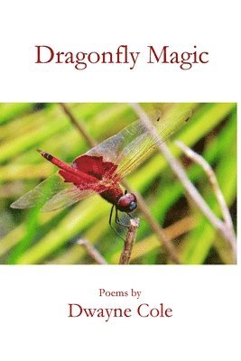 Dwayne Cole - Dragonfly Magic, Häftad
