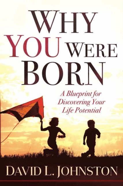 David L. Johnston - Why You Were Born, E-bok