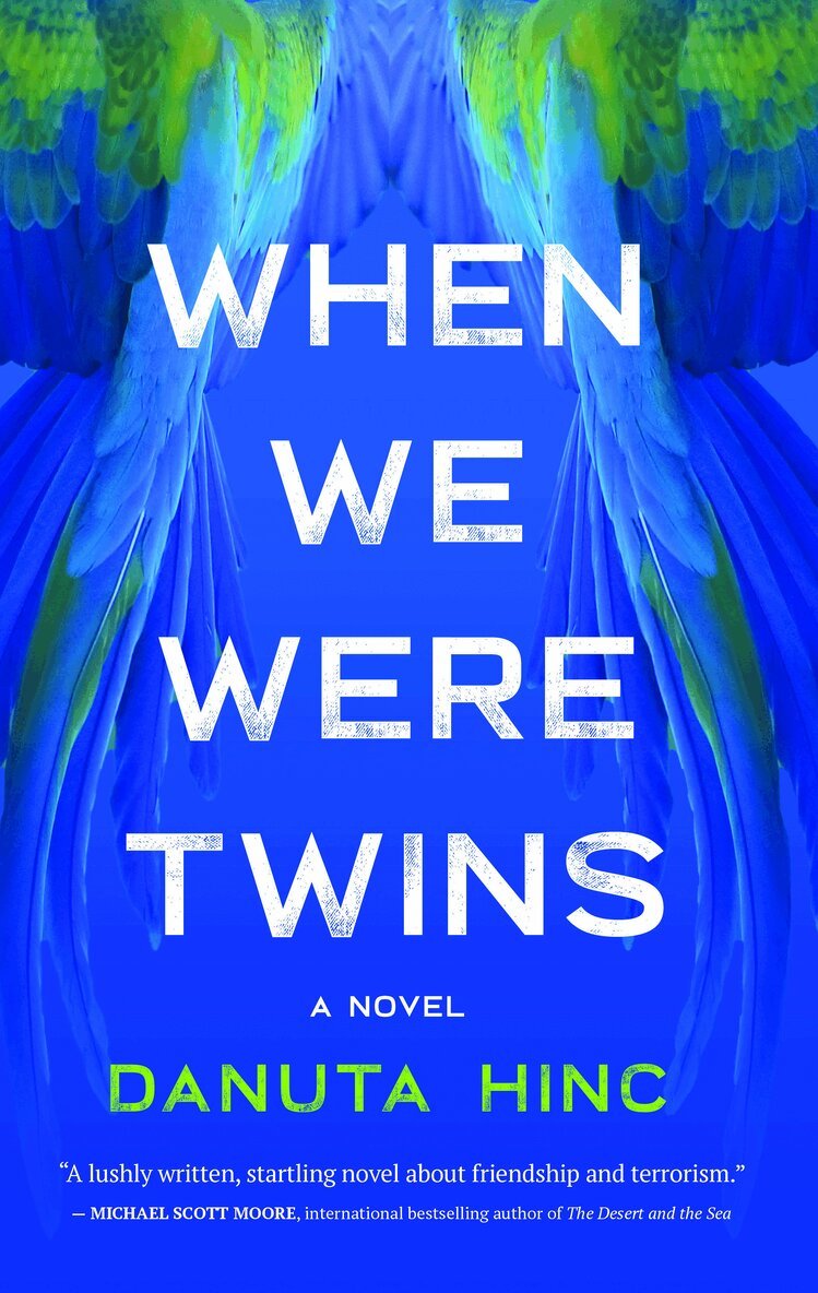 Danuta Hinc - When We Were Twins, Häftad