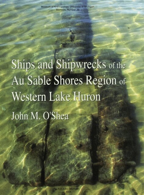 John M. O'Shea - Ships and Shipwrecks of the Au Sable Shores Region of Western Lake Huron, E-bok