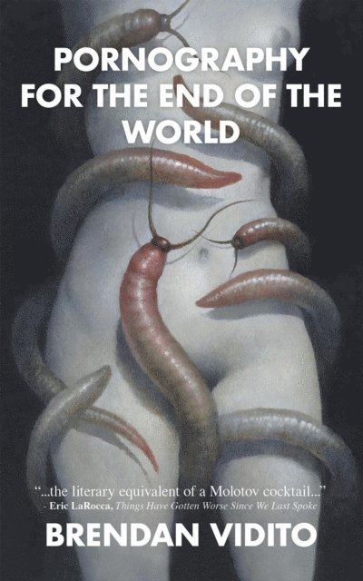 Brendan Vidito - Pornography for the End of the World, E-bok