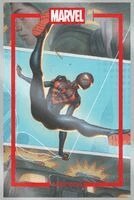 Marvel Portfolio of Dan dos Santos - Spider-verse, Övrigt