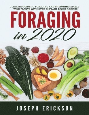 Joseph Erickson - Foraging in 2020, Häftad