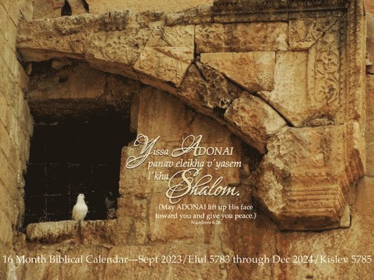 Lisa Rubin - Shalom Calendar, Häftad