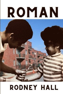 Rodney Hall - Roman, Häftad