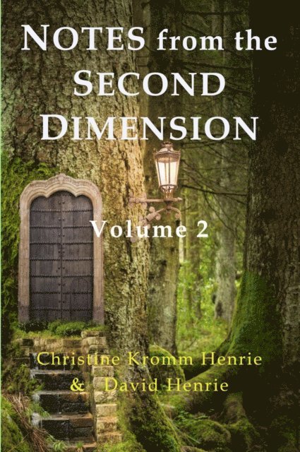 David J Henrie, Christine Kromm Henrie - Notes from the Second Dimension, E-bok