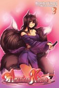 American Kitsune, Vol. 3 (Light Novel)