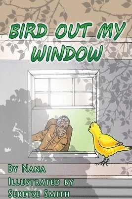Jenniffer Harr - Bird Out My Window, Häftad