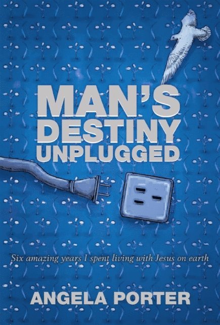 Angela Porter - Man's Destiny Unplugged, E-bok
