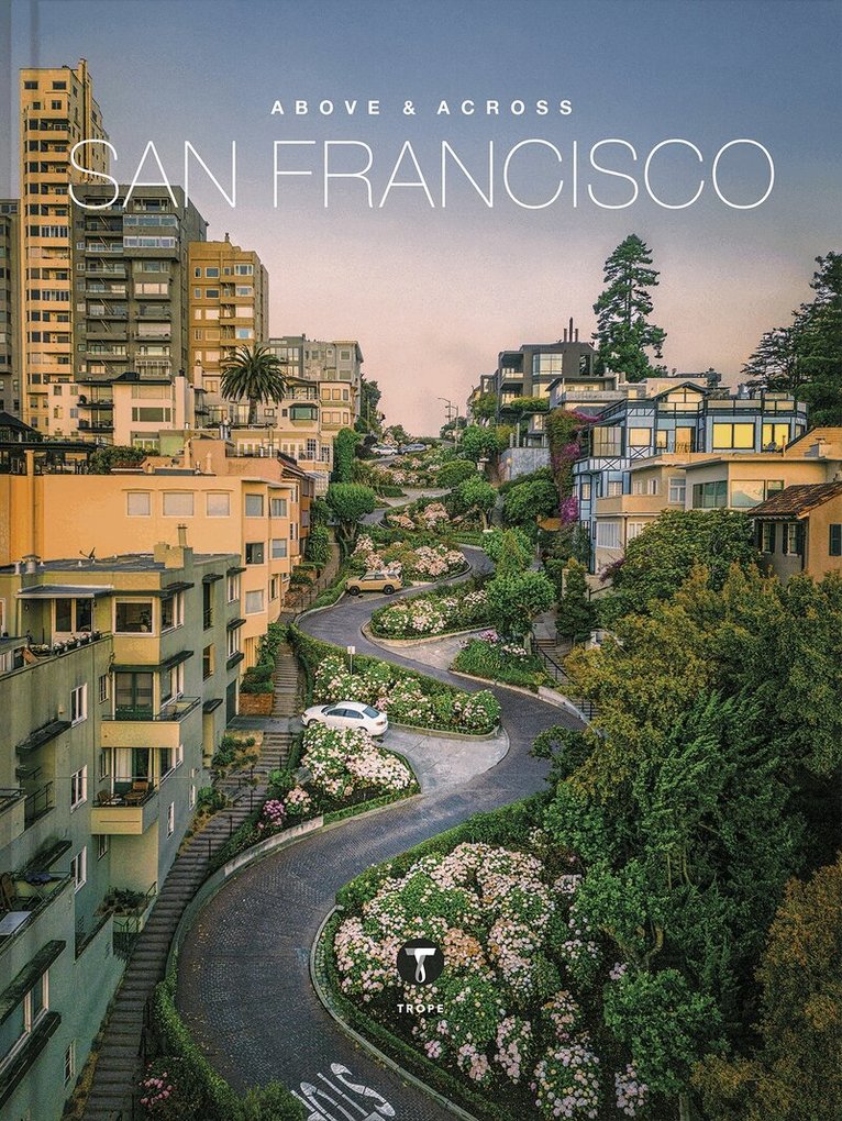 Sam Landers, Michelle Fitzgerald - Above and Across San Francisco, Inbunden