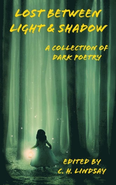 C.H. Lindsay - Lost Between Light & Shadow, E-bok