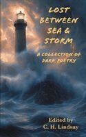 C H Lindsay, Maya Bohnhoff, Kevin Wasden - Lost Between Sea & Storm, Häftad. Tillgänglighet: Lägg i varukorg