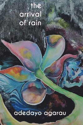 Adedayo Adeyemi Agarau - arrival of rain, Häftad