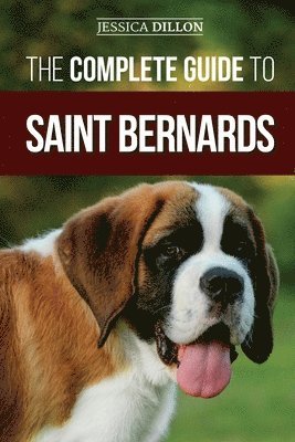 Jessica Dillon - Complete Guide to Saint Bernards, Häftad. Tillgänglighet: Lägg i varukorg