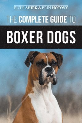Erin Hotovy, Ruth Shirk - Complete Guide to Boxer Dogs, Häftad. Tillgänglighet: Lägg i varukorg