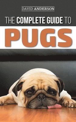 Complete Guide to Pugs