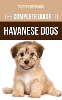 The Complete Guide to Havanese Dogs