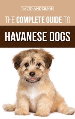 Complete Guide to Havanese Dogs