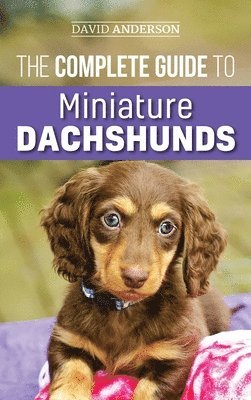 David Anderson - Complete Guide to Miniature Dachshunds, Inbunden