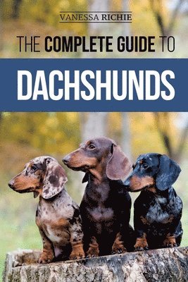 Vanessa Richie - Complete Guide to Dachshunds, Häftad